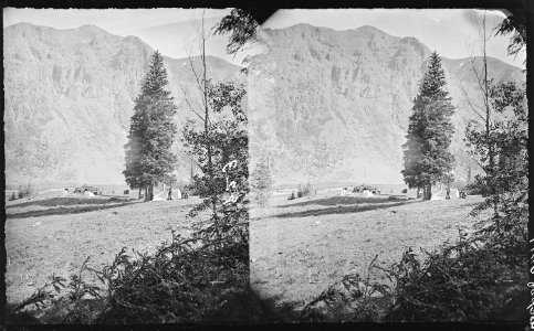 Camp in Baker's Park, near Howardsville. San Juan County, Colorado. - NARA - 517599 photo