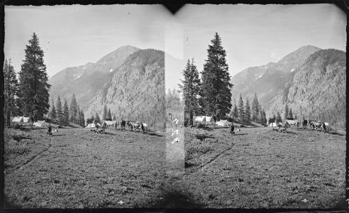 Camp in Baker's Park, near Howardsville. San Juan County, Colorado. - NARA - 517598 photo