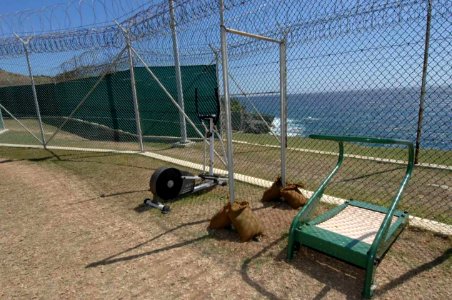 Camp Iguana Recreation Yard -a