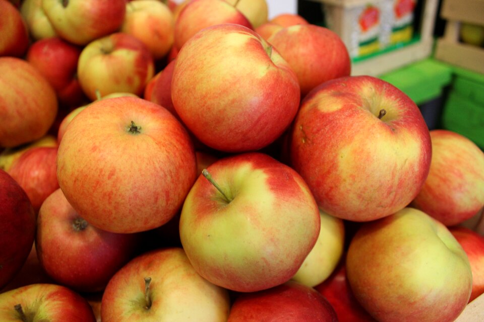 Food juicy freshness