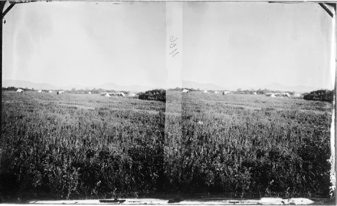 Camp near Fort Ellis, near Bridger Canyon. Gallatin County, Montana. - NARA - 517436 photo