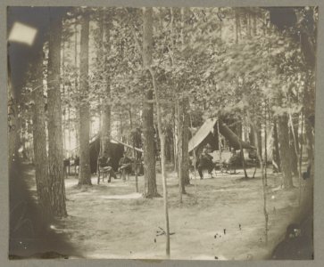 Camp of companies C & D, 1st Mass. Cavalry LCCN2012649034