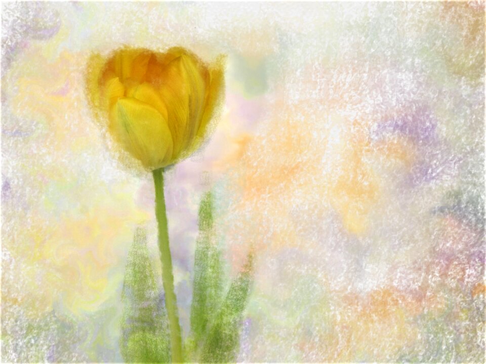 Abstract flower canvas