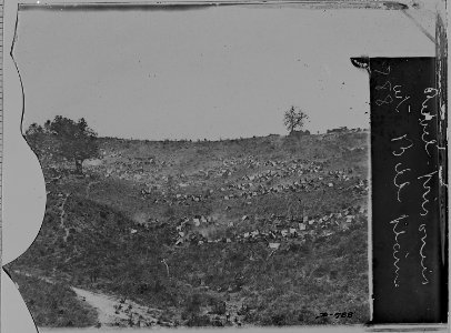 Camp of Confederate prisoners at Belle Plain, Va - NARA - 525193 photo