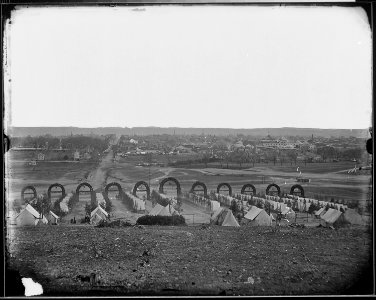 Camp of the 44th N.Y. Inf. near Alexandria, Va - NARA - 524564
