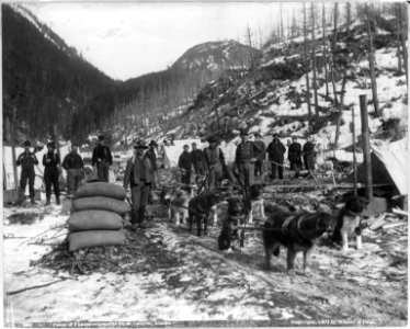 Camp of Yukoners near the Dyea Canyon, Alaska LCCN2006678538