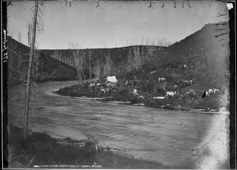 Camp on the north fork of Snake River. Fremont County, Idaho. - NARA - 516782