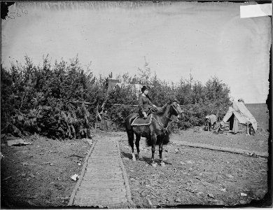 Camp scene, ladies in camp - NARA - 529399