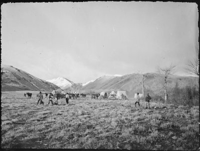 Camp on Rock Creek. Carbon County, Wyoming - NARA - 516946 photo