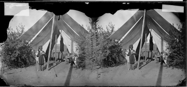 Camp servant of Col. Aspenwall - NARA - 529647