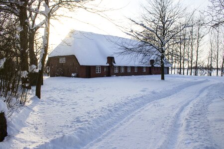 Winter cold frost
