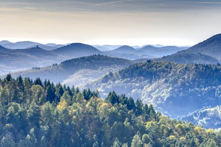 Palatinate forest hdr landscape