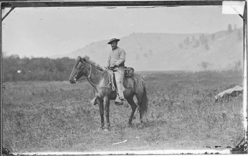 Camp study. Negley - NARA - 517183