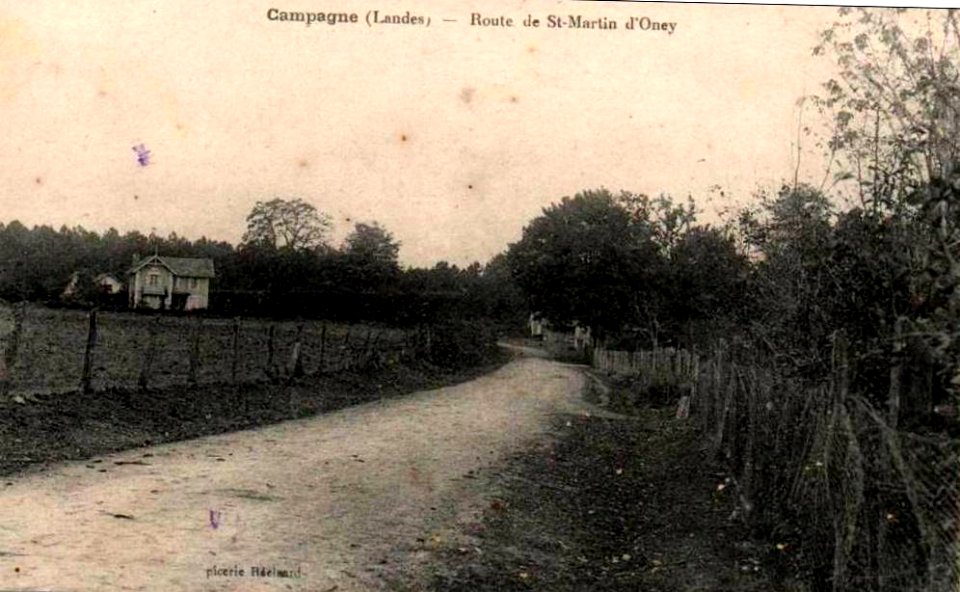 Campagne (Landes) - route de Saint-Martin-d'Oney