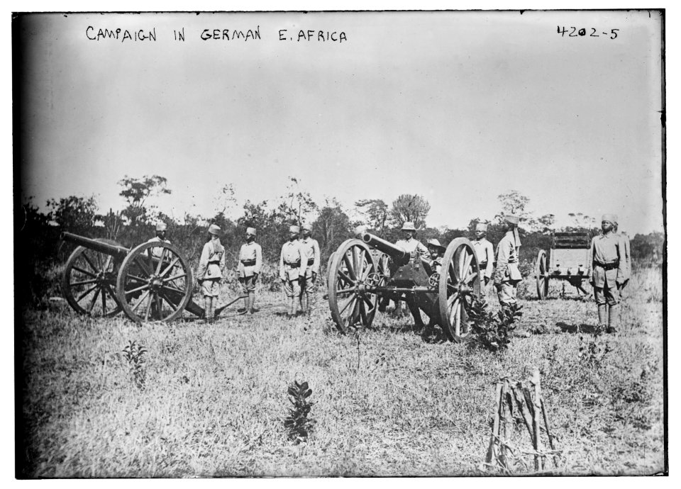 Campaign in German E. Africa LCCN2014704508