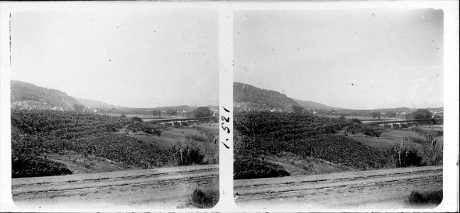 Camps de Martorell amb pont al fons