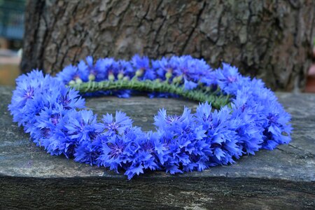 Bluebottle fabricated flowers wildflowers