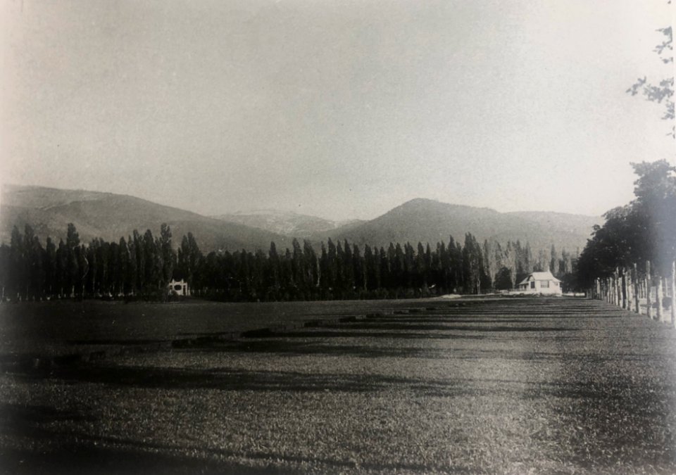 Campo de polo La Granja
