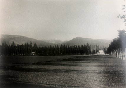 Campo de polo La Granja