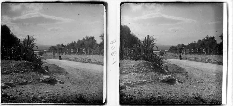 Camí d'un parc particular