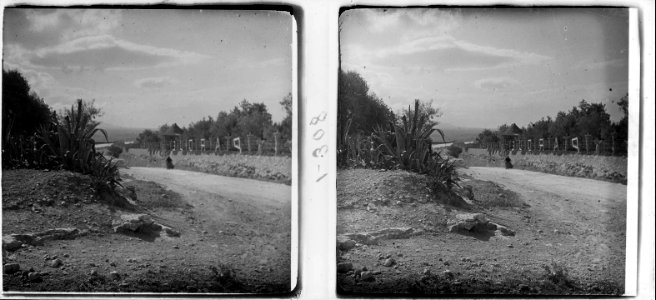 Camí d'un parc particular