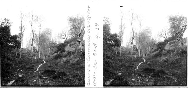 Camí de Canovelles