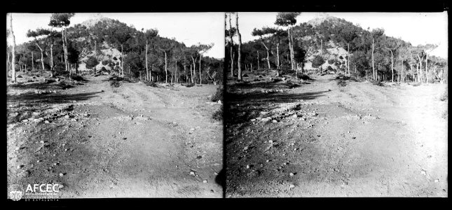Camí de Clariana de Cardener amb un turó boscós al fons