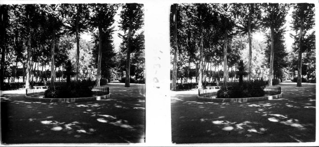 Camps Elisis de Lleida (SaP 399 10)