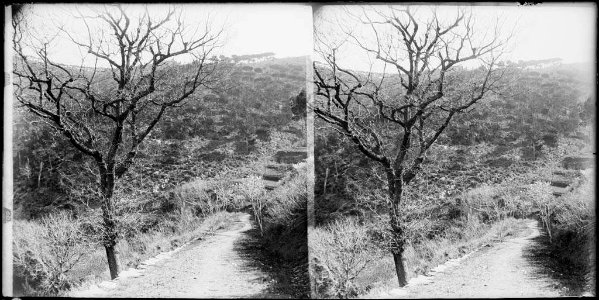 Camí a la font de la Bulledera
