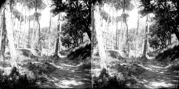 Camí de Sant Cebrià d'Horta a la font de la Llet