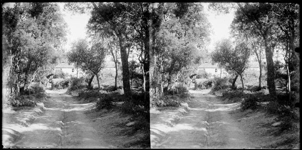 Camí amb una masia al fons