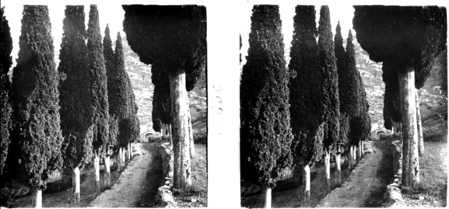 Camí cap a l ' ermita de Santa Bàrbara o Sant Antoni