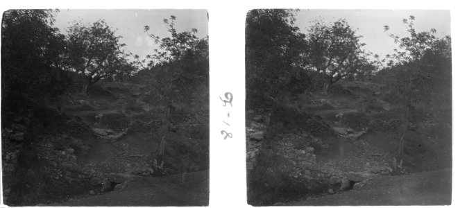Camí del Carmel