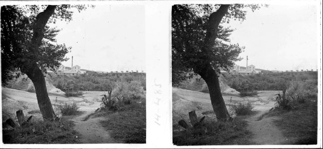 Camí cap a la torre Bassols