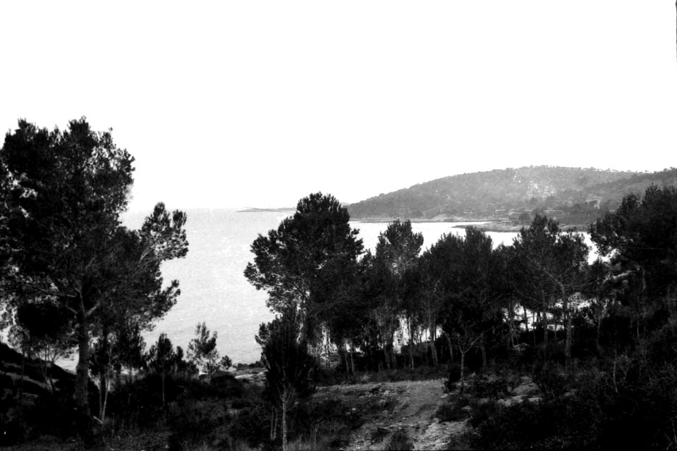 Camí de  Cas Català 