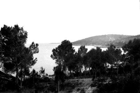 Camí de  Cas Català 