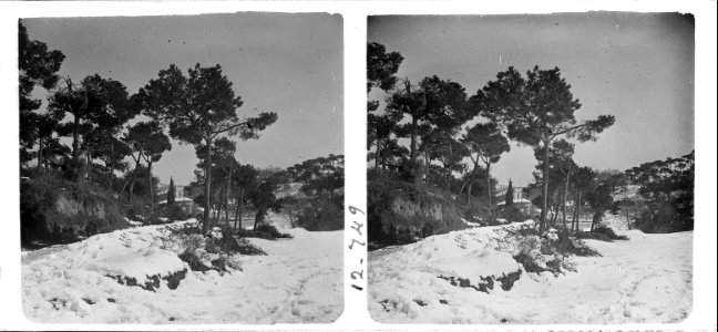 Camí de l'església de Vallvidrera