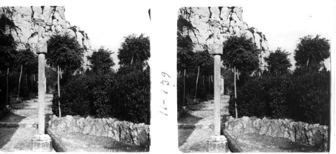 Camí i creu de terme (SaP 139 11)