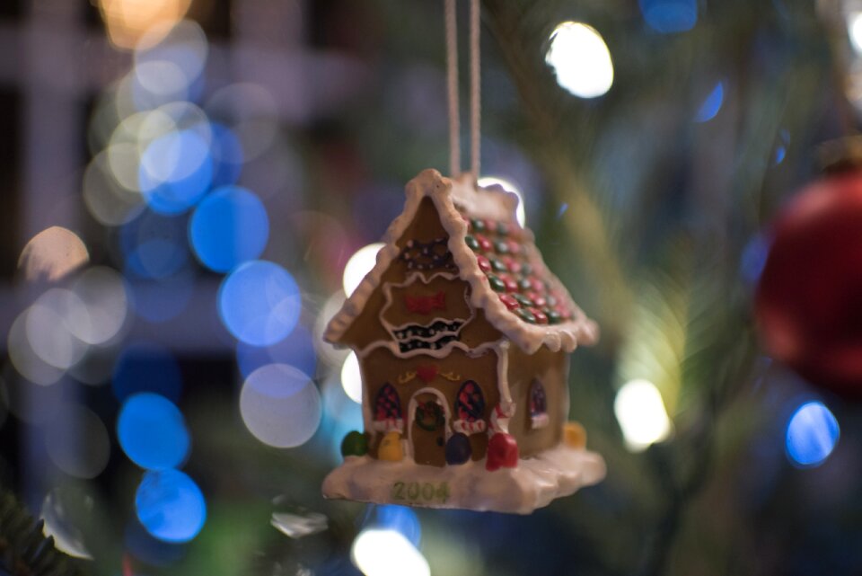 Tree lights bokeh