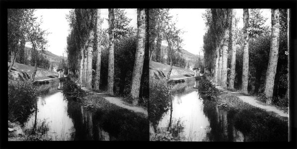 Camí de la font del Ferro amb un riu i arbres