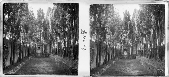 Camí del Calvari de Sant Francesc