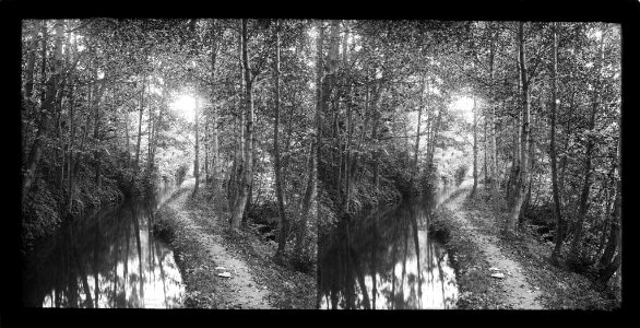 Camí dels Enamorats vora un riu enmig d'un bosc