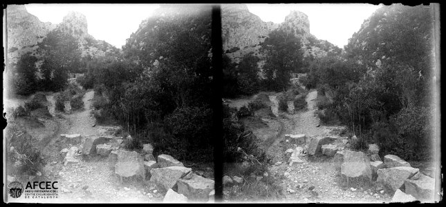 Camí enmig d'un bosc i al fons el castell Sespasa
