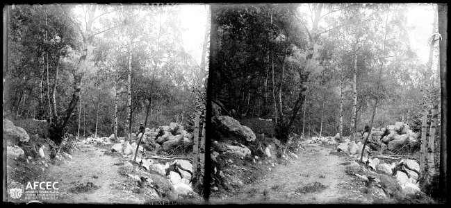 Camí enmig d'un bosc a les gorges de Carançà i al fons uns homes asseguts en unes roques
