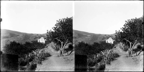 Camí voltat de vegetació amb una masia al fons