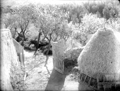 Camí, tanca de fusta i pila de palla (AFCEC RIBASV C 2639)
