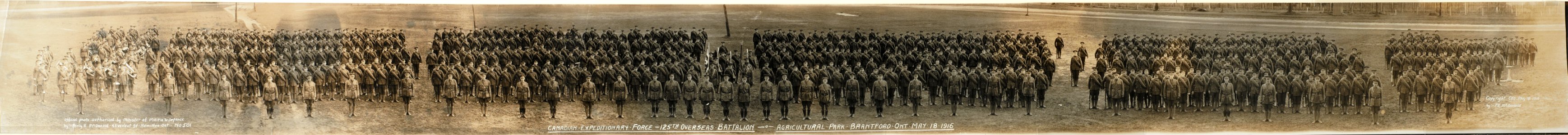 Canadian Expeditionary Force, 125th Overseas Battalion, Agricultural Park, Brantford, Ontario, May 18, 1916. No. 501 (HS85-10-32549) photo