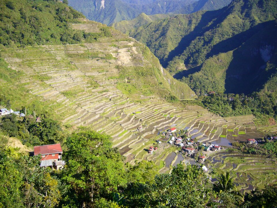 Asia countryside cultivation