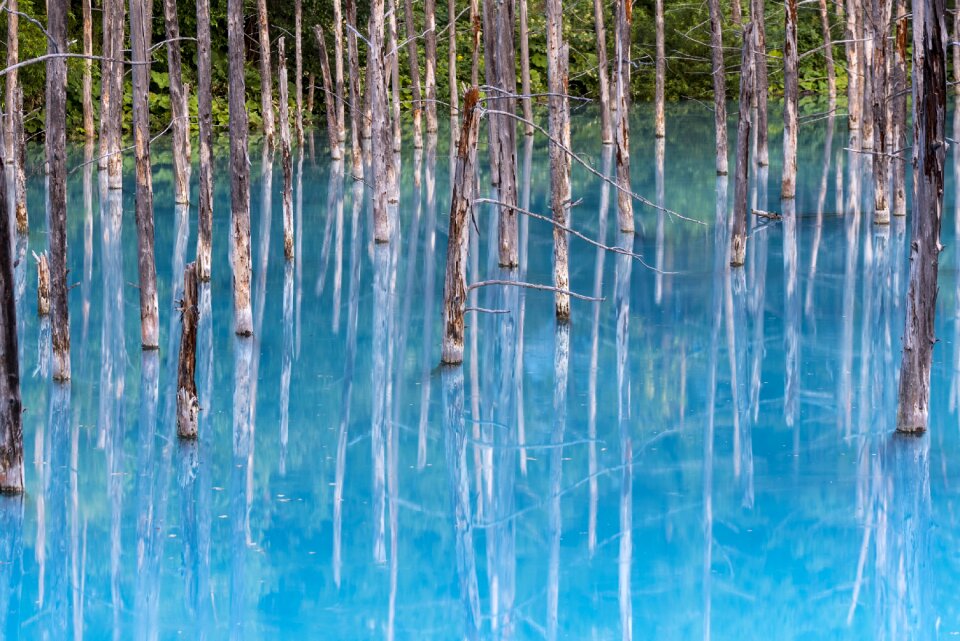 Nature landscape tranquil