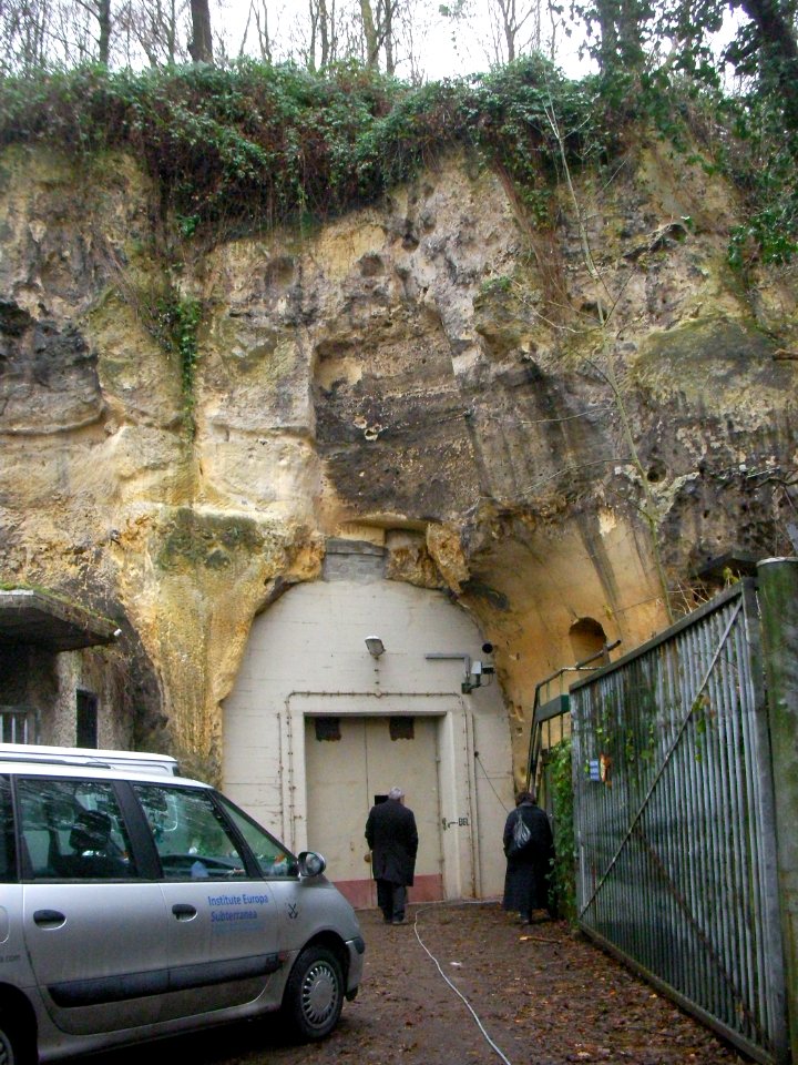 Cannerberg 2010 2
